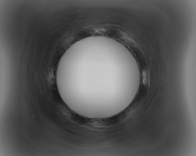 X0000086721395200705041318