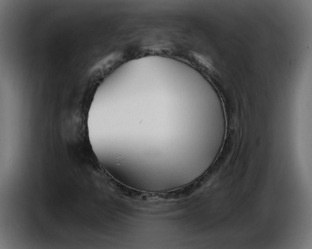 X0000086721398200705041318