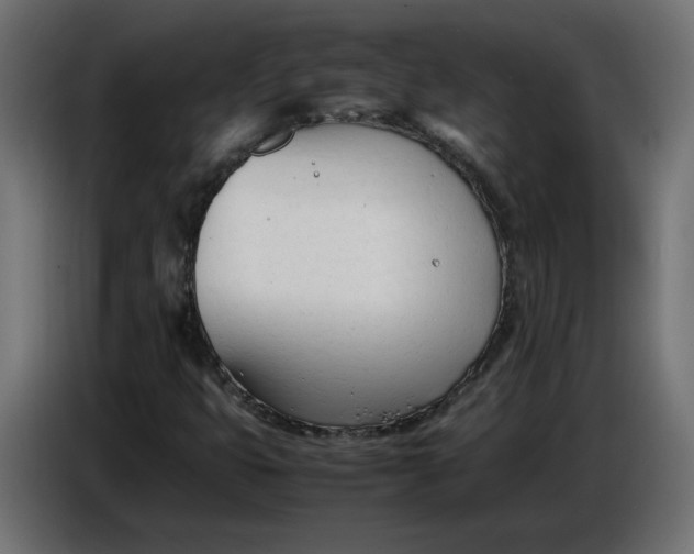X0000086721399200705041318