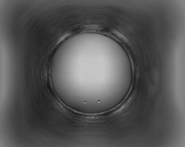 X0000086721401200705041318