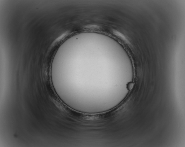 X0000086721403200705041318