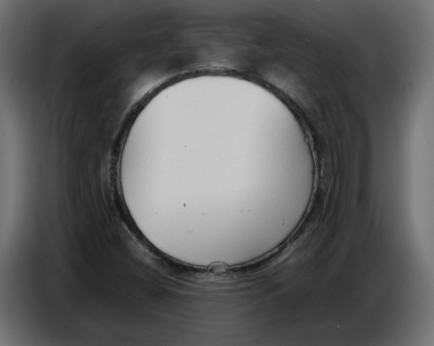 X0000086721404200705041318