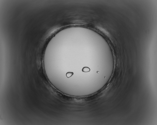 X0000086721407200705041318