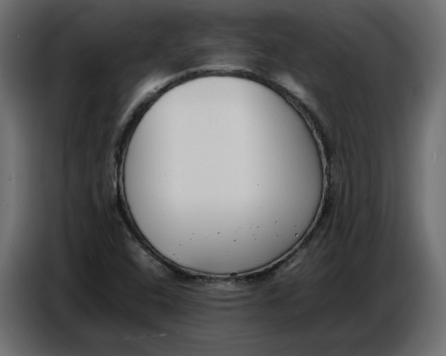 X0000086721408200705041318