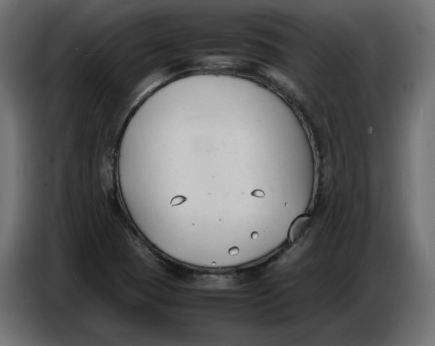 X0000086721409200705041318