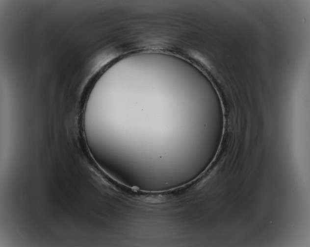 X0000086721410200705041318
