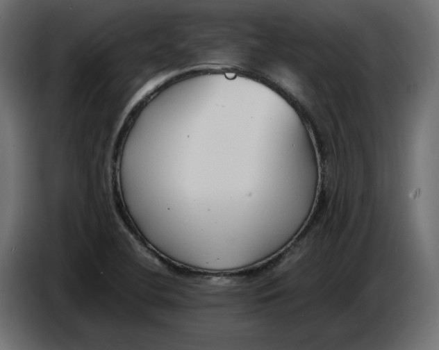 X0000086721412200705041318