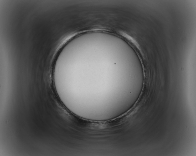 X0000086721415200705041318