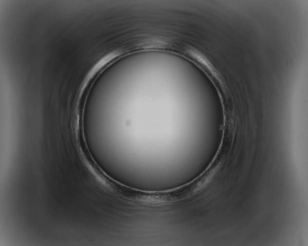X0000086721418200705041318