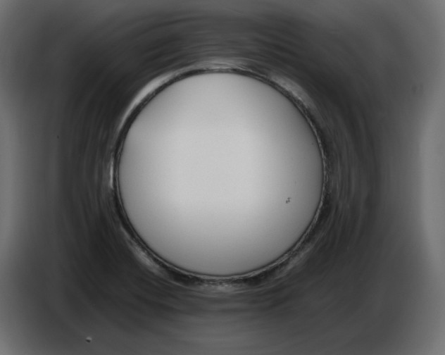 X0000086721420200705041318