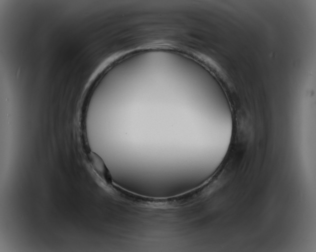 X0000086721422200705041319