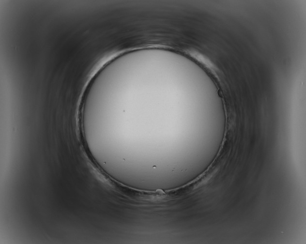 X0000086721423200705041319