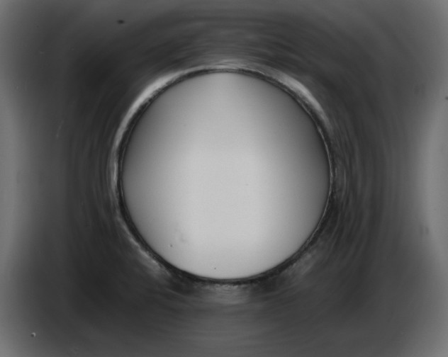 X0000086721424200705041319