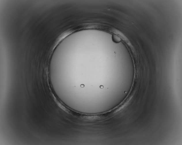 X0000086721425200705041319