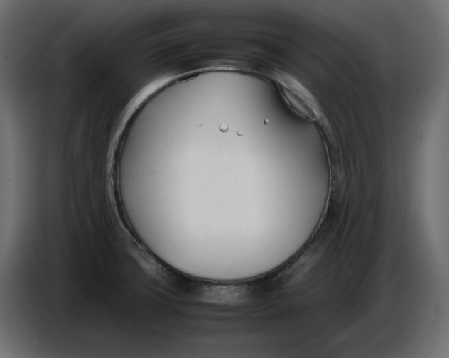 X0000086721427200705041319