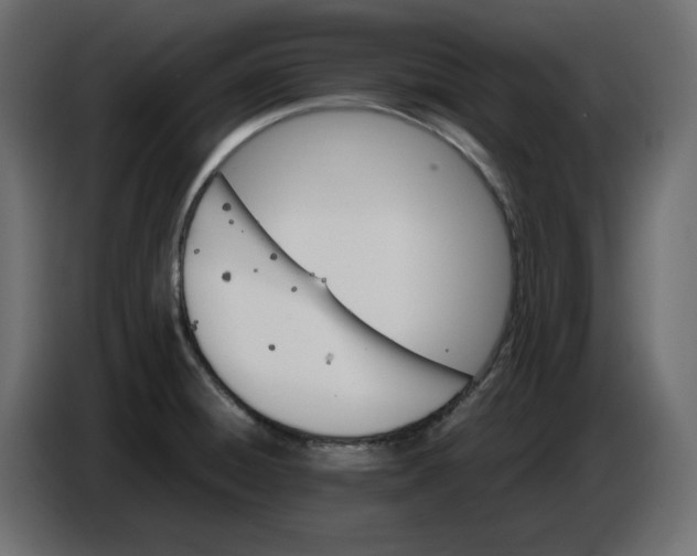 X0000086721428200705041319