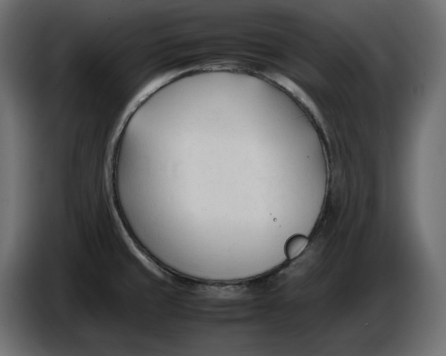 X0000086721429200705041319