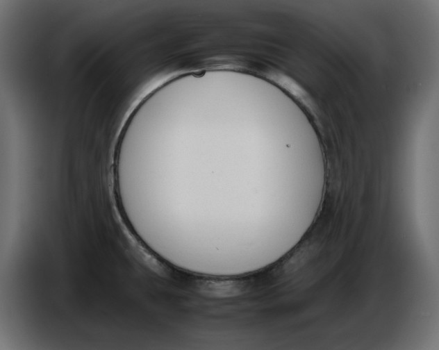 X0000086721431200705041319