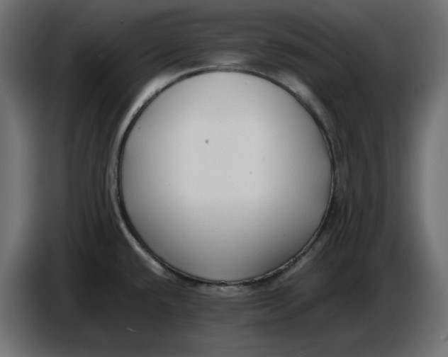 X0000086721432200705041319