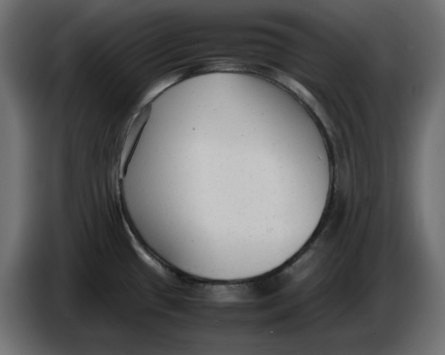 X0000086721433200705041319