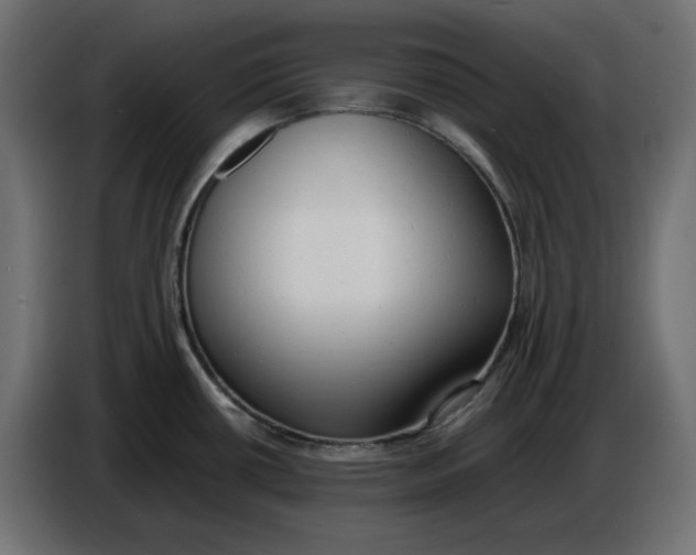 X0000086721434200705041319