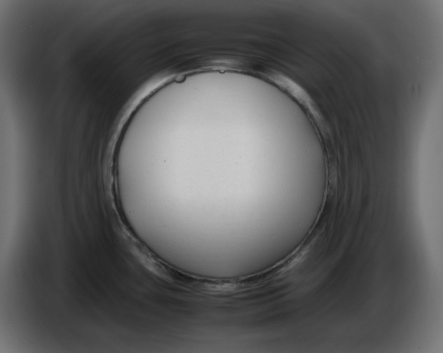 X0000086721435200705041319