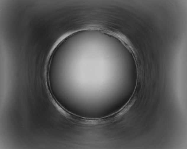 X0000086721438200705041319