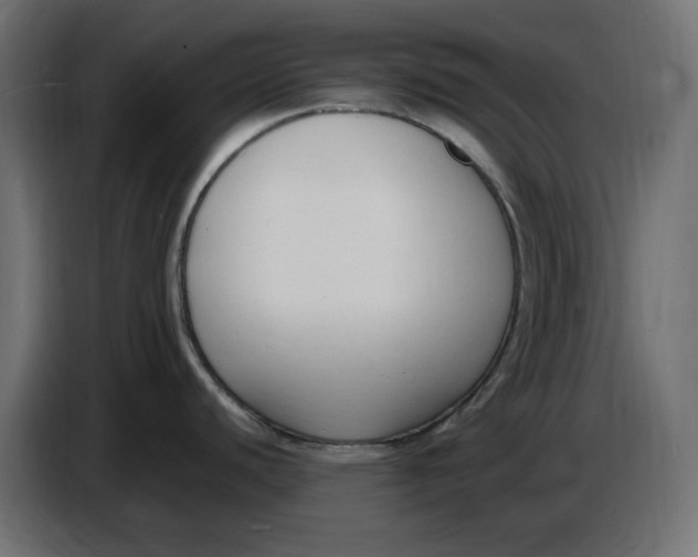 X0000086721440200705041319