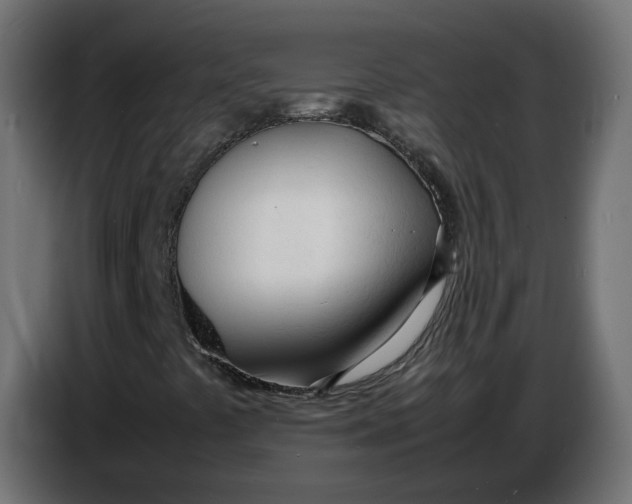X0000086721441200705041318