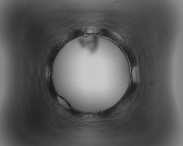 X0000086721443200705041318