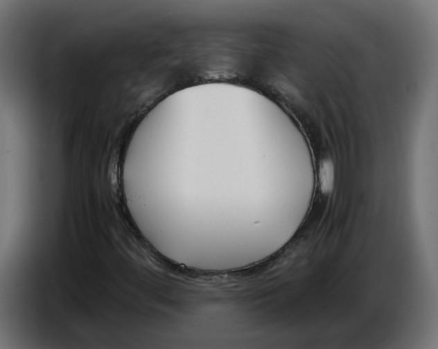 X0000086721444200705041318