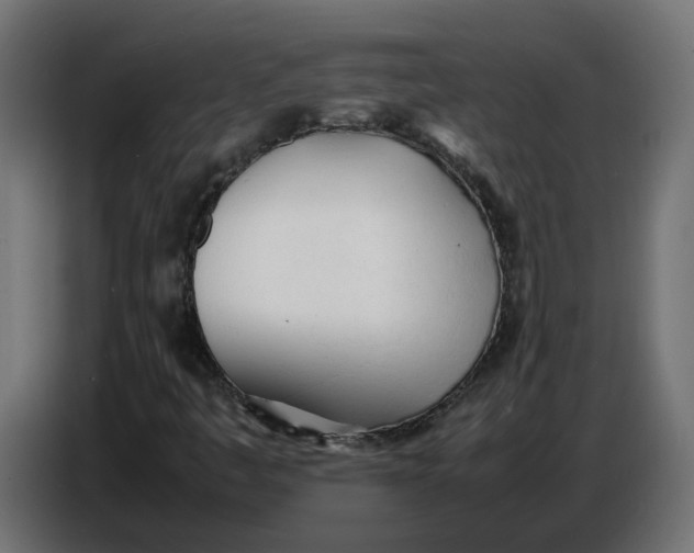 X0000086721445200705041318