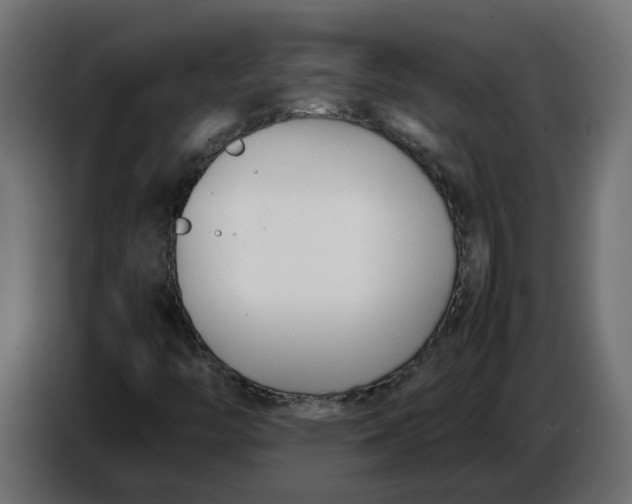 X0000086721446200705041318