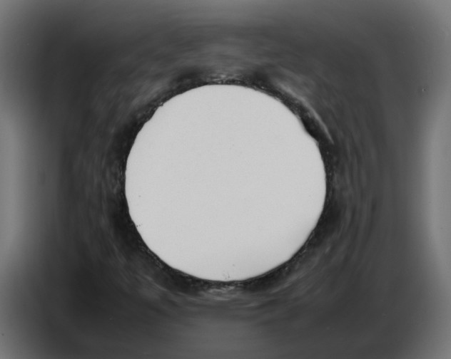 X0000086721447200705041318
