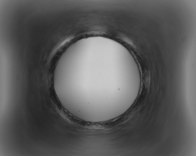 X0000086721448200705041318