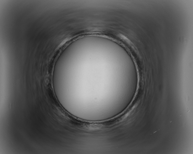 X0000086721449200705041318