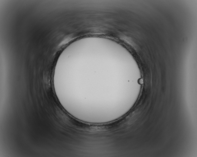 X0000086721451200705041318