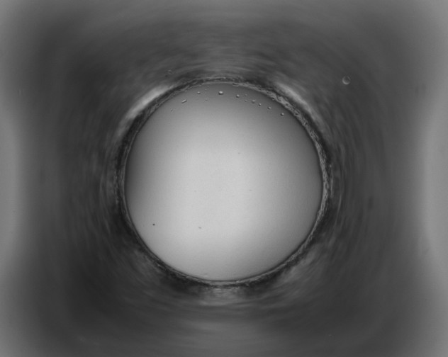 X0000086721453200705041318