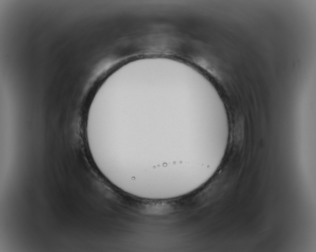 X0000086721454200705041318