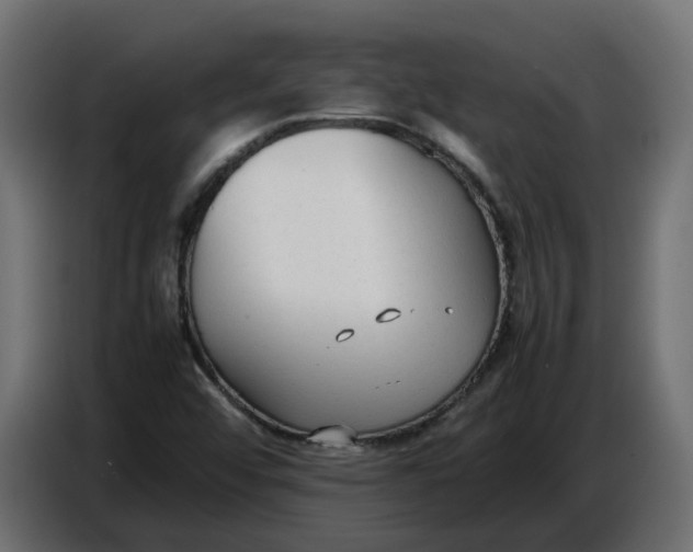 X0000086721456200705041318