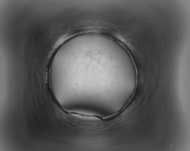 X0000086721459200705041318