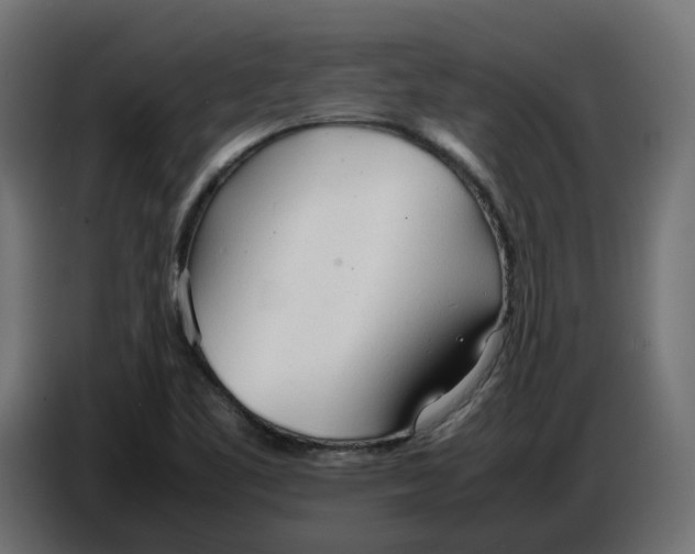 X0000086721461200705041318
