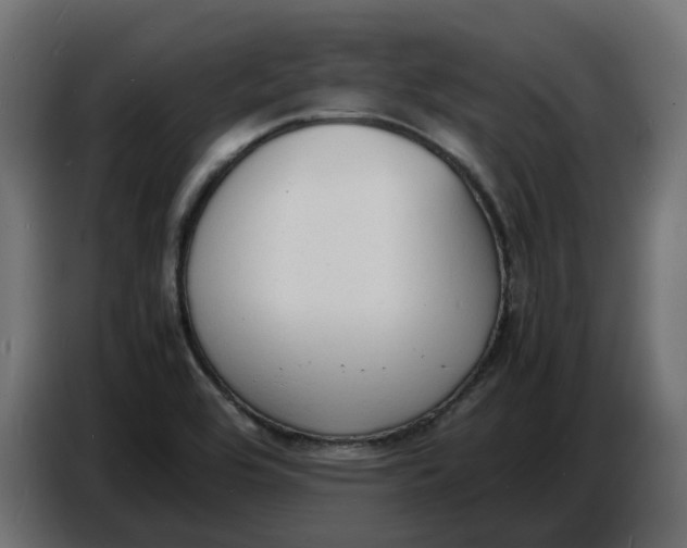 X0000086721464200705041318