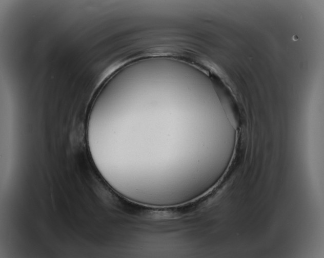 X0000086721465200705041318