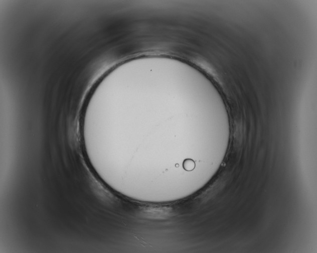 X0000086721466200705041318