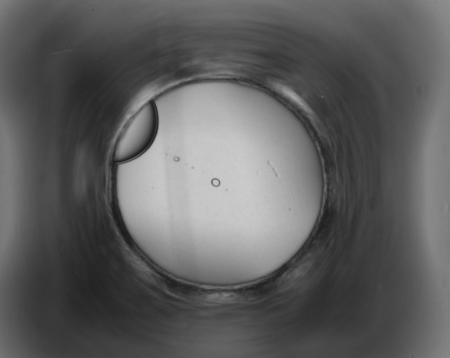 X0000086721467200705041318