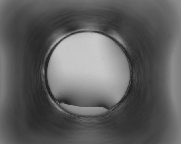 X0000086721468200705041318