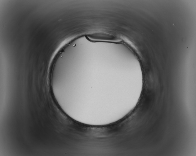 X0000086721469200705041318