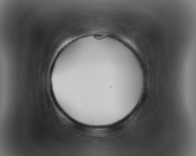 X0000086721471200705041318