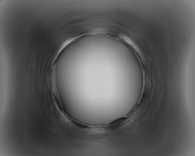 X0000086721473200705041318